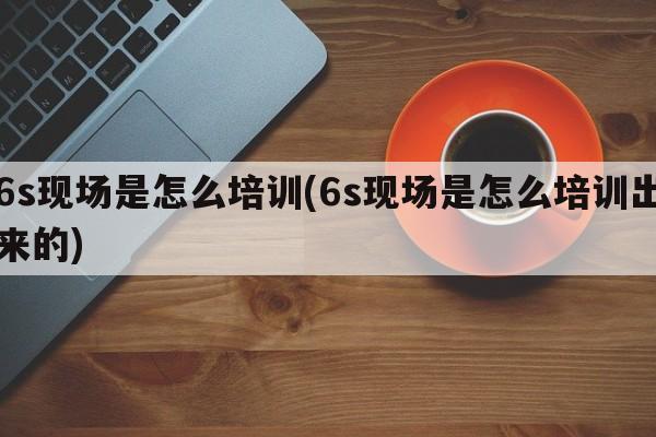 6s现场是怎么培训(6s现场是怎么培训出来的)